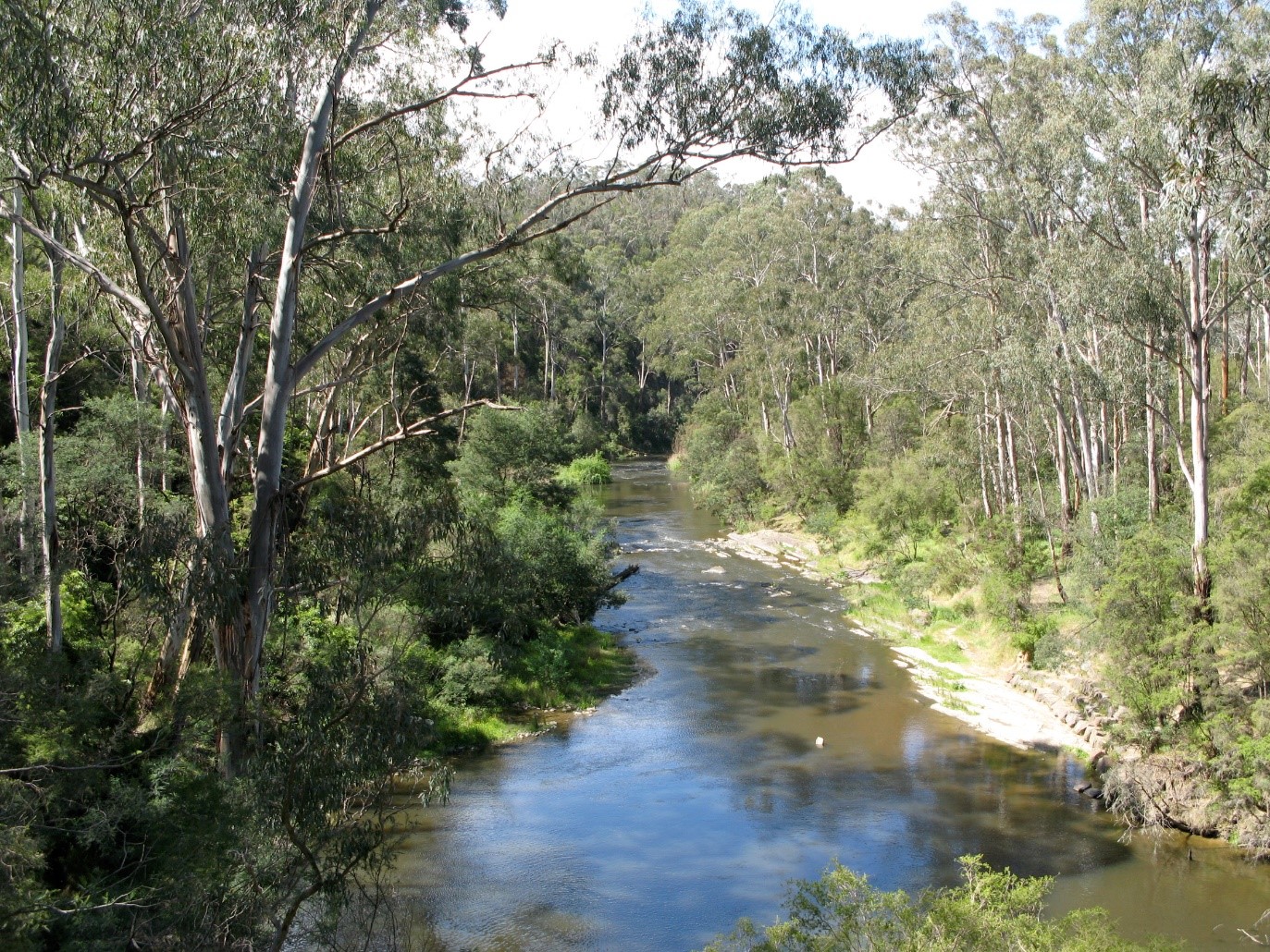 Yarra Valley outdoor education location